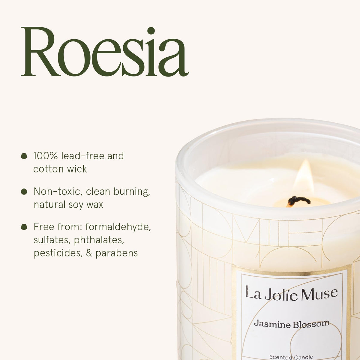 La Jolíe Muse Scented Candles Gifts for Women, Jasmine Candle Mothers Day Gifts Set Glass Jar 9.9Oz /280g, Natural Soy Wax Candles 70 Hours Long Burning