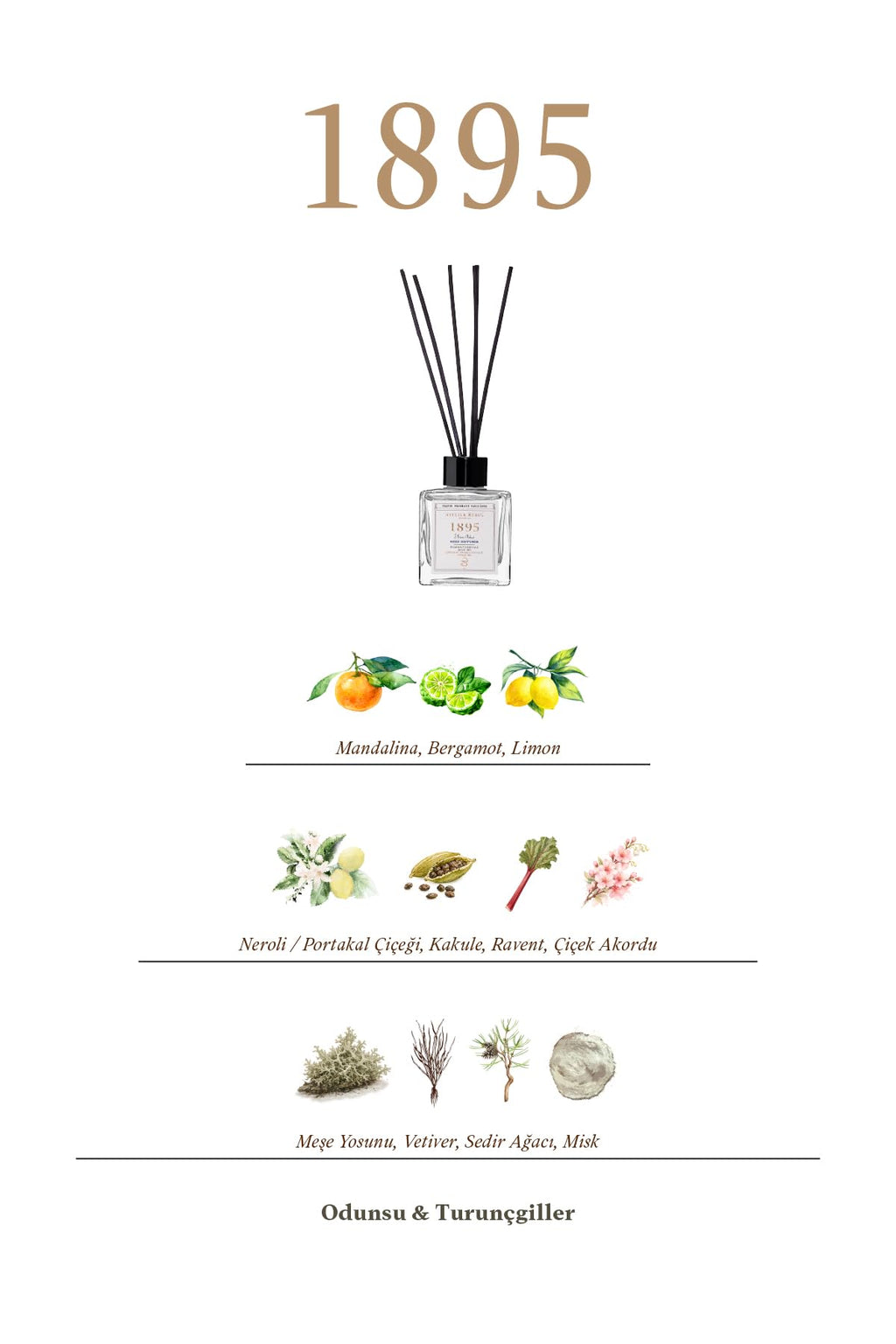 Atelier Rebul 1895 Reed Diffuser 120ml - Citrus & Woody Aroma, Bergamot, Cardamom, Oakmoss Scent - Refreshing Home Fragrance, Lasts 6 Weeks