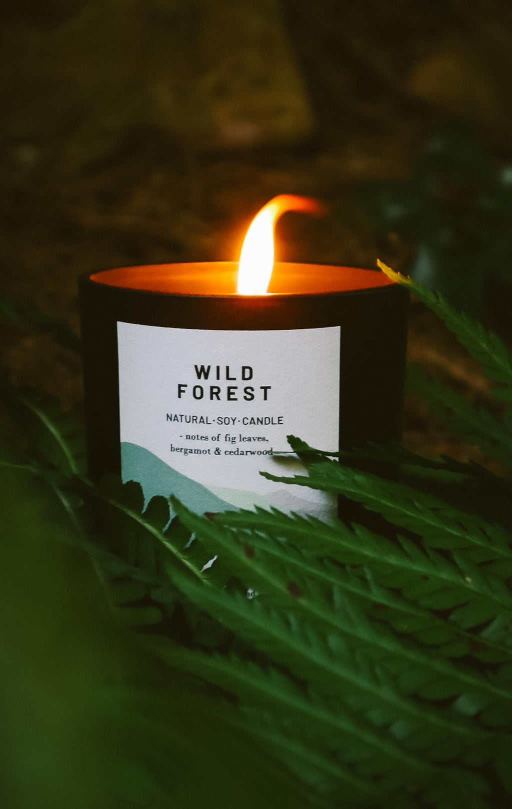 Ocoee House | Luxury Scented Soy Wax Candles. Hand Poured in Loch Lomond, Scotland. Organic & Vegan (+8 Scent Options, x2 Sizes) Wild Forest, Single Wick - 450g