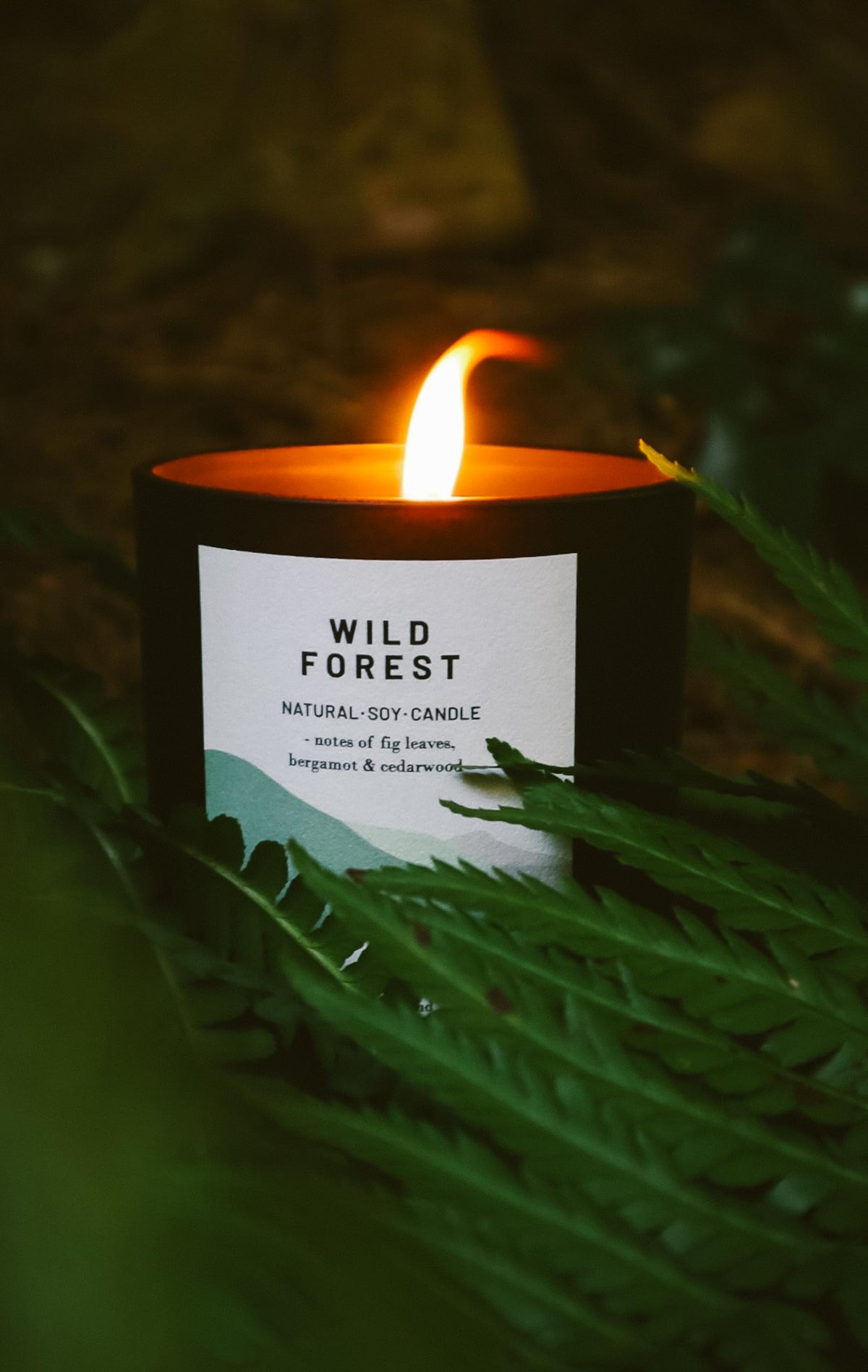 Ocoee House | Luxury Scented Soy Wax Candles. Hand Poured in Loch Lomond, Scotland. Organic & Vegan (+8 Scent Options, x2 Sizes) Wild Forest, Single Wick - 450g