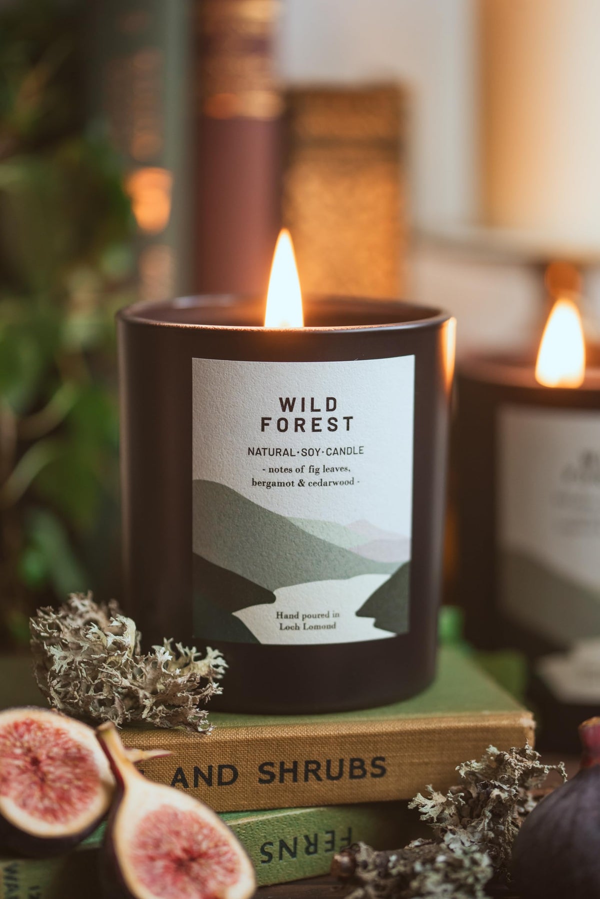 Ocoee House | Luxury Scented Soy Wax Candles. Hand Poured in Loch Lomond, Scotland. Organic & Vegan (+8 Scent Options, x2 Sizes) Wild Forest, Single Wick - 450g