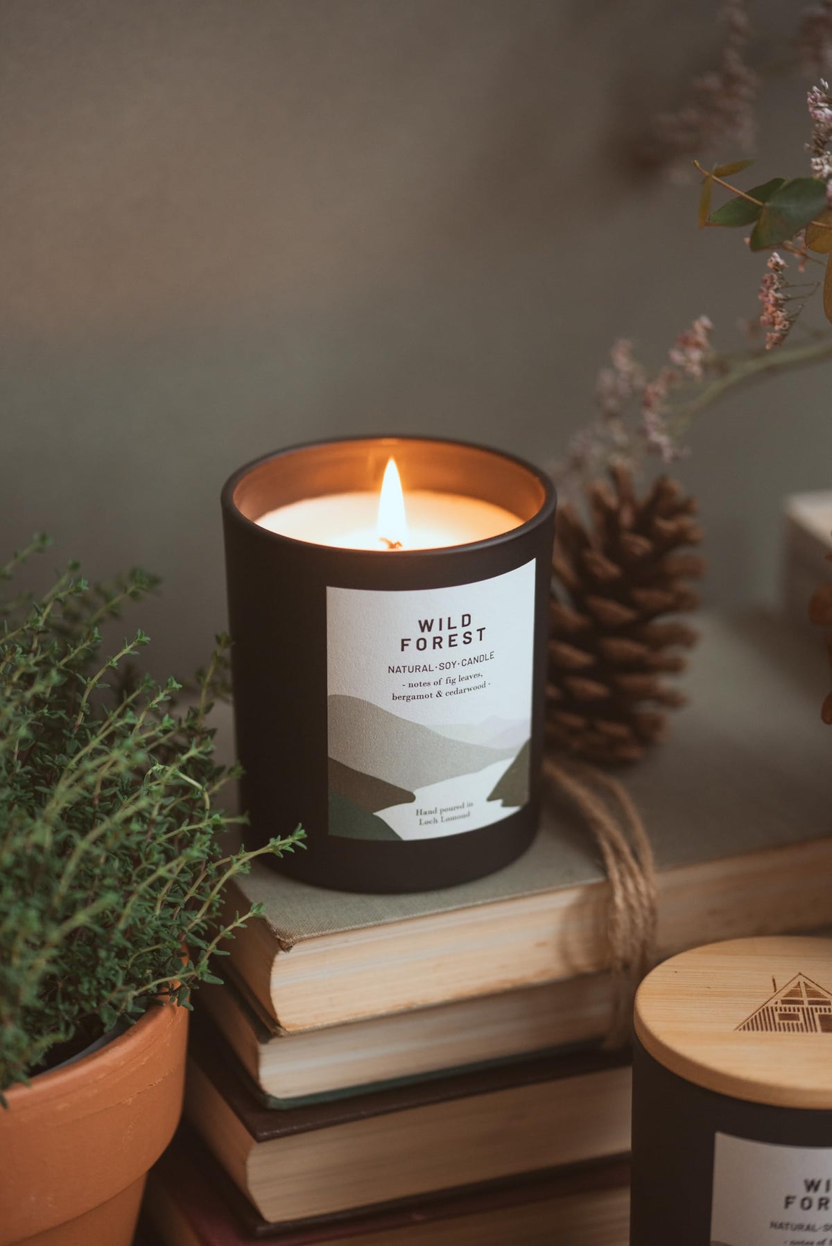 Ocoee House | Luxury Scented Soy Wax Candles. Hand Poured in Loch Lomond, Scotland. Organic & Vegan (+8 Scent Options, x2 Sizes) Wild Forest, Single Wick - 450g