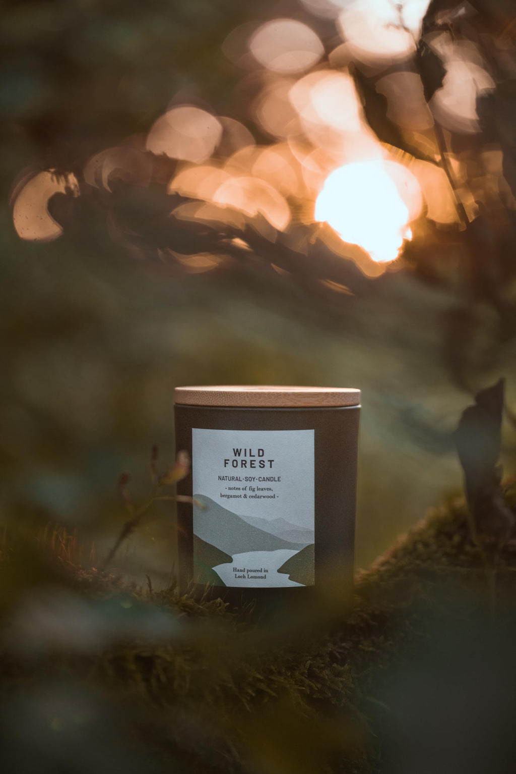 Ocoee House | Luxury Scented Soy Wax Candles. Hand Poured in Loch Lomond, Scotland. Organic & Vegan (+8 Scent Options, x2 Sizes) Wild Forest, Single Wick - 450g
