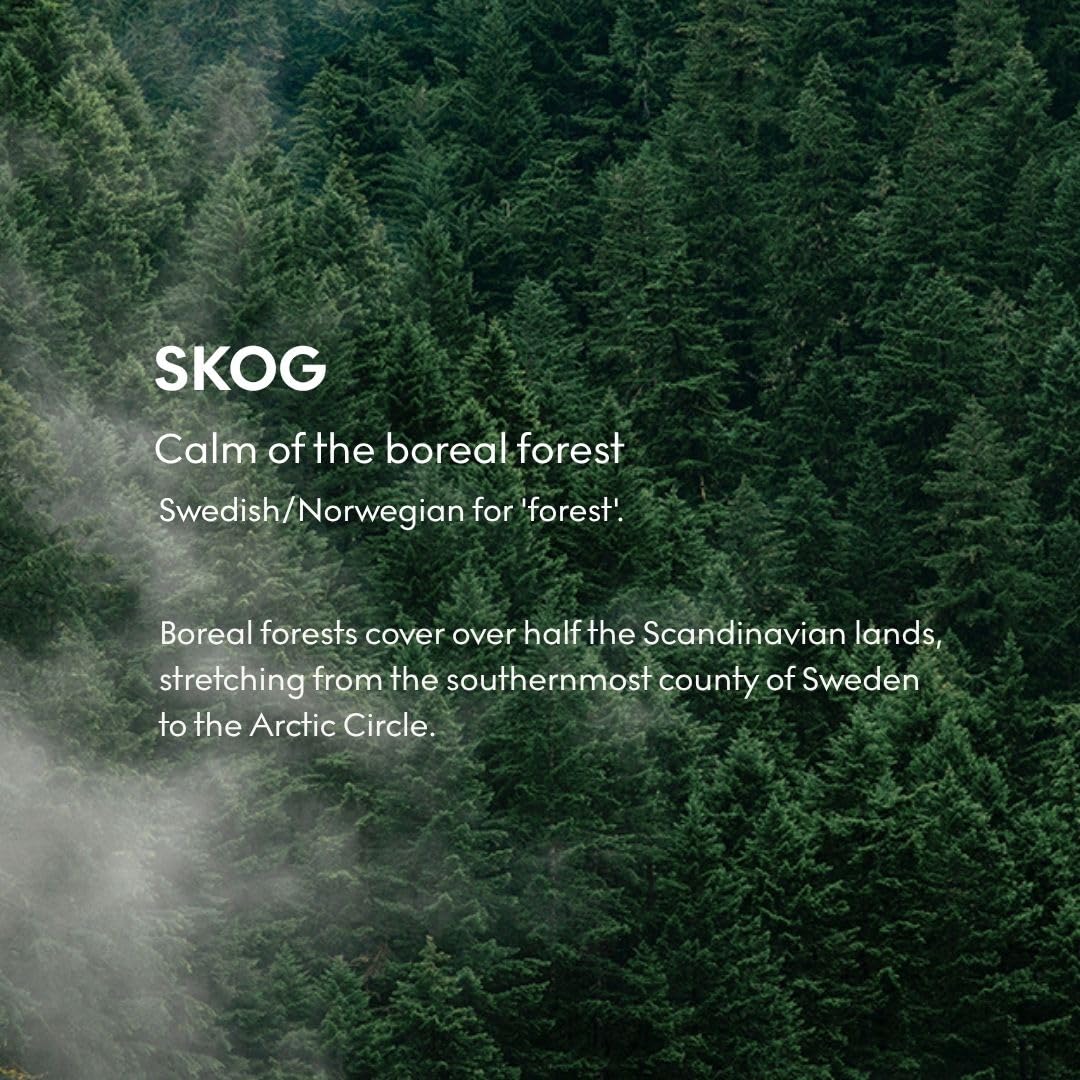 SKANDINAVISK Scented Candle, Skog(Forest), 350g, 2-Wicks
