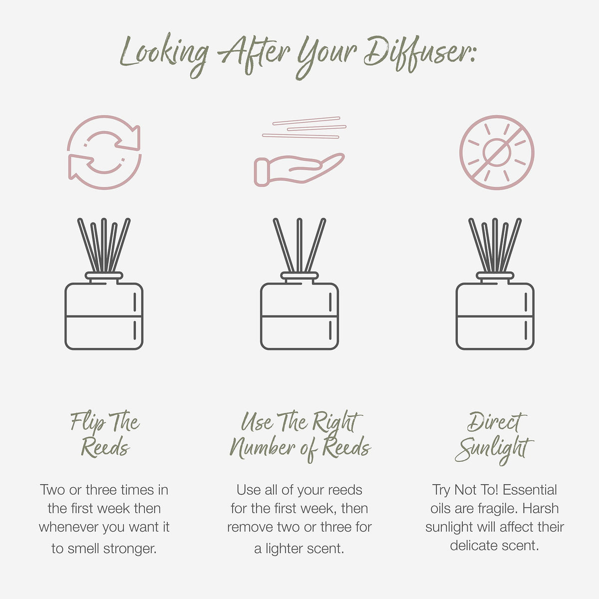 Valentte Reed Diffuser & Mist Gift Set- White Neroli & Lemon- 100ml & 30ml