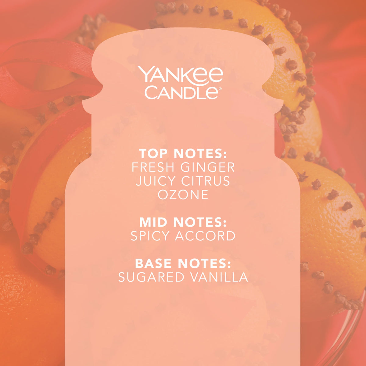 Yankee Candle Scented Candle | Spiced Orange Large Jar Candle | Burn Time: up to 150 Hours| Perfect Gifts for Women