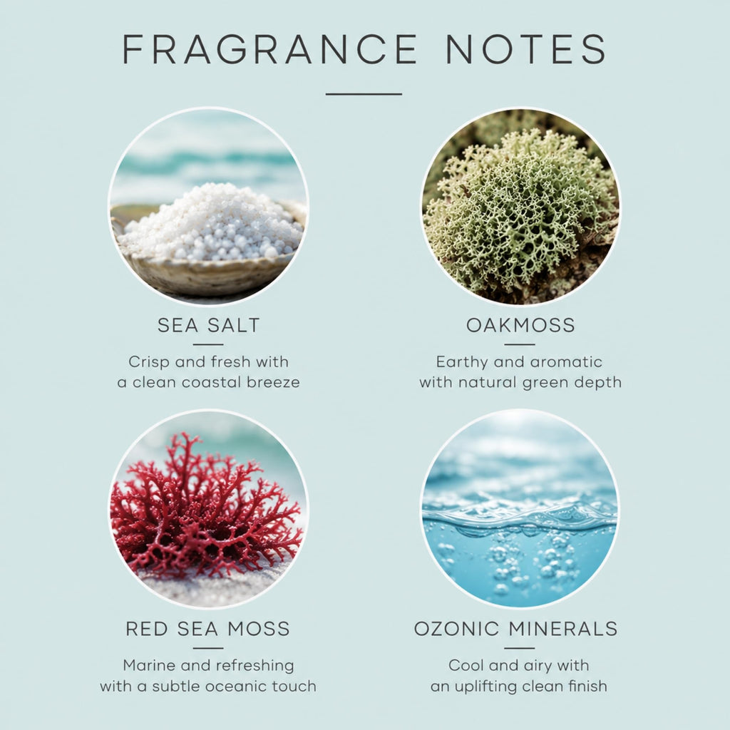 Stoneglow Modern Classics Sea Salt & Oakmoss Scented Reed Diffuser 120ml with 12 Rattan Reed Diffuser Sticks – Fragranced Home Air Freshener, Lasts 10 Weeks, Refillable Fragrance, Made In The UK