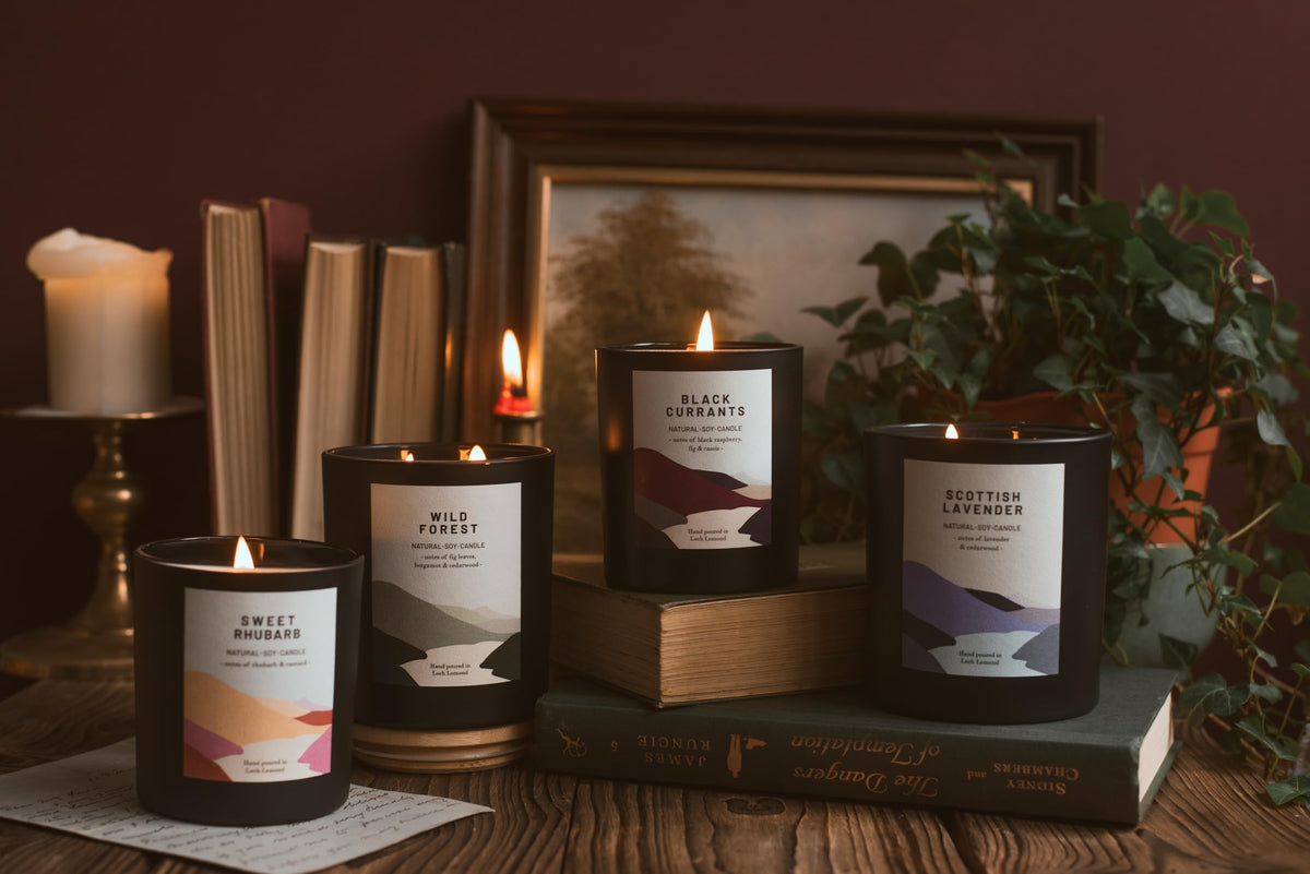 Ocoee House | Luxury Scented Soy Wax Candles. Hand Poured in Loch Lomond, Scotland. Organic & Vegan (+8 Scent Options, x2 Sizes) Wild Forest, Single Wick - 450g