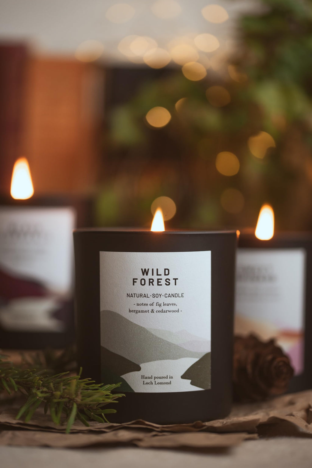 Ocoee House | Luxury Scented Soy Wax Candles. Hand Poured in Loch Lomond, Scotland. Organic & Vegan (+8 Scent Options, x2 Sizes) Wild Forest, Single Wick - 450g