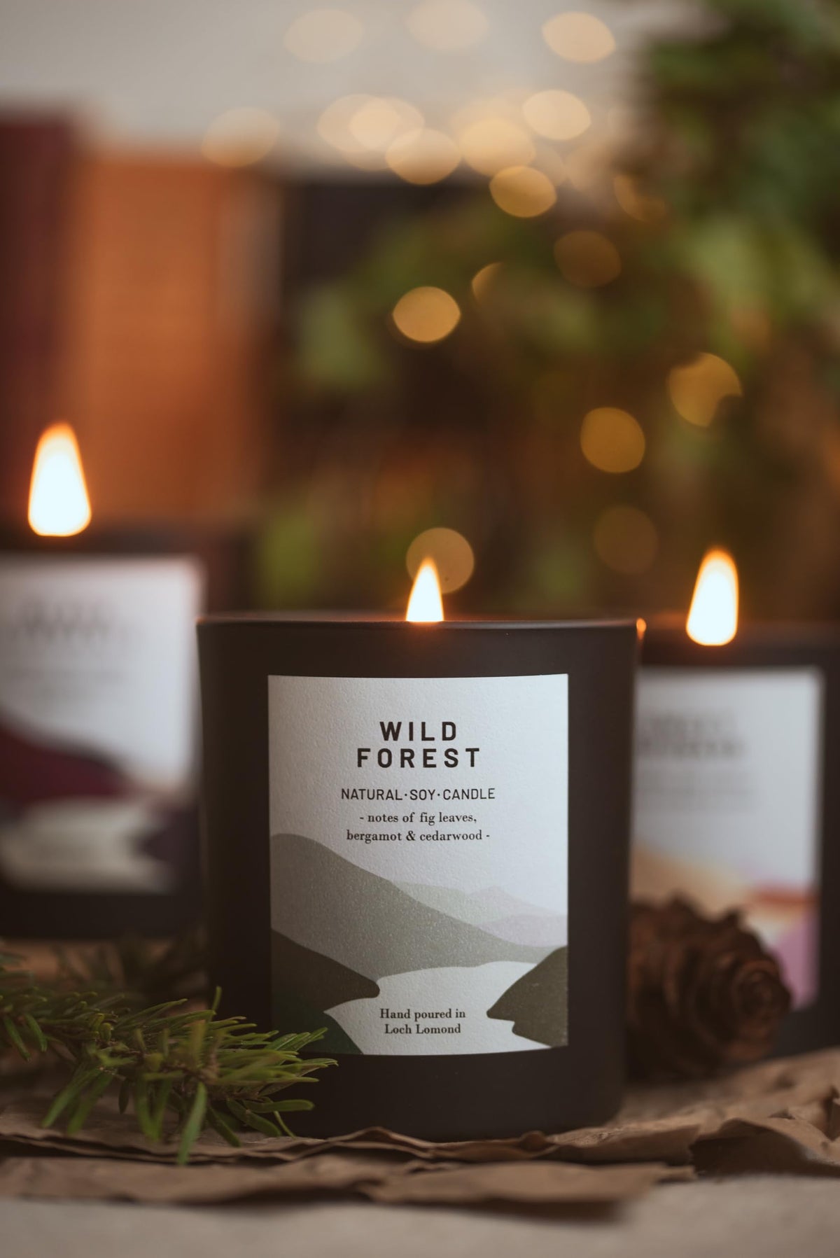 Ocoee House | Luxury Scented Soy Wax Candles. Hand Poured in Loch Lomond, Scotland. Organic & Vegan (+8 Scent Options, x2 Sizes) Wild Forest, Single Wick - 450g
