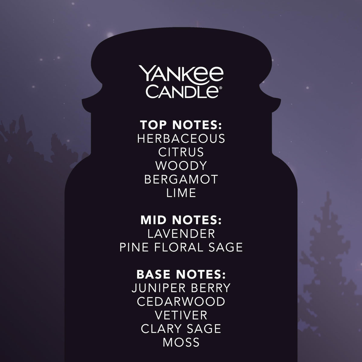 Yankee Candle Scented Candle | Midsummer's Night Large Jar | Long Burning Candles: up to 150 Hours | Perfect Gifts for Women