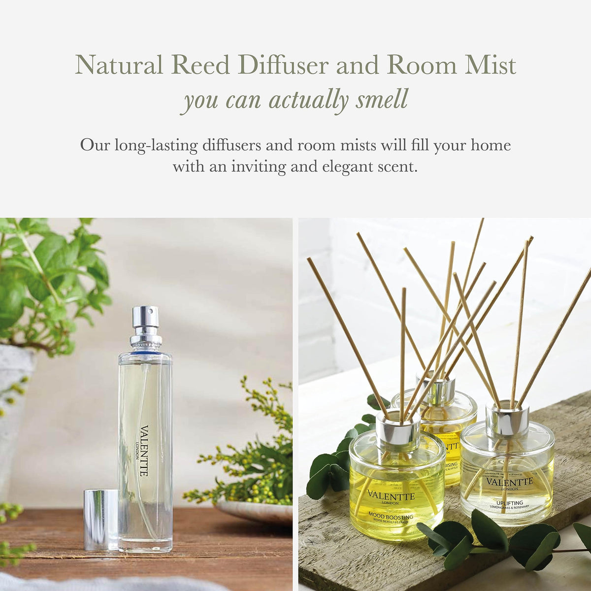 Valentte Reed Diffuser & Mist Gift Set- White Neroli & Lemon- 100ml & 30ml