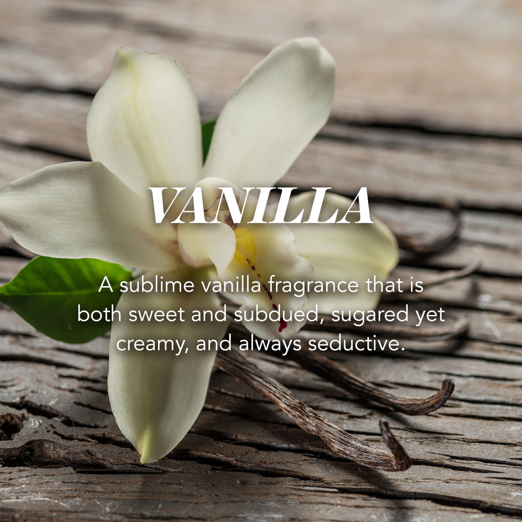Yankee Candle Scented Candle | Vanilla Large Jar | Long Burning Candles: up to 150 Hours | Perfect Gifts for Women