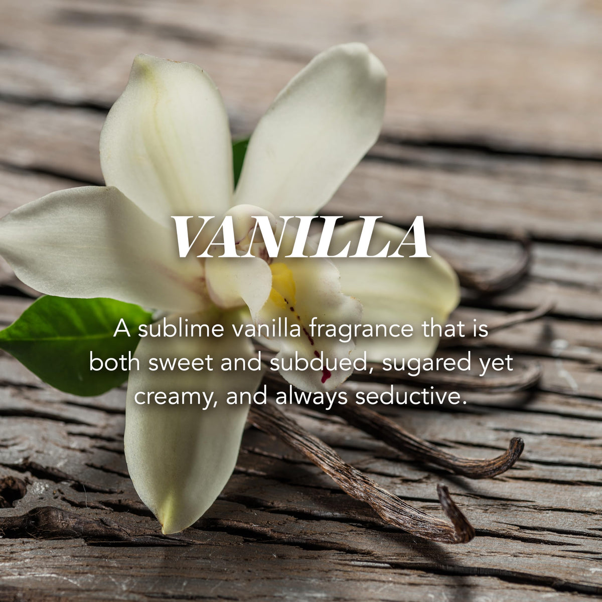 Yankee Candle Scented Candle | Vanilla Large Jar | Long Burning Candles: up to 150 Hours | Perfect Gifts for Women