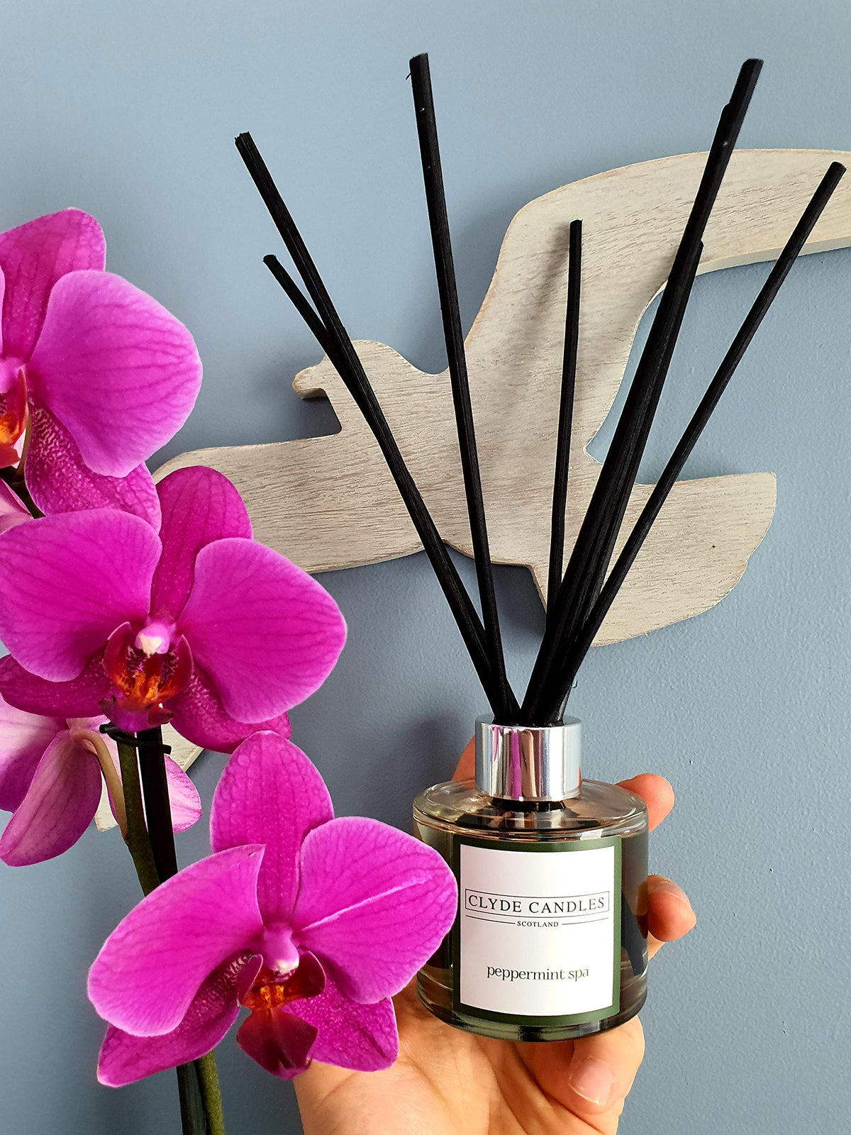 Peppermint Spa Reed Diffuser - Clyde Candles, Luxury Diffuser Oil with a Set of 7 Fibre Sticks, 100ml, Best Aroma Scent for Home, Kitchen, Living Room, Bathroom. Fragrance Diffusers set with sticks