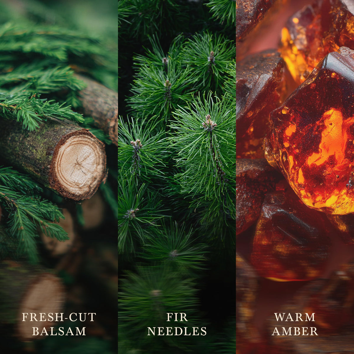 Woodwick Large Hourglass Scented Candle | Fraser Fir | with Crackling Wick | Burn Time: up to 130 Hours