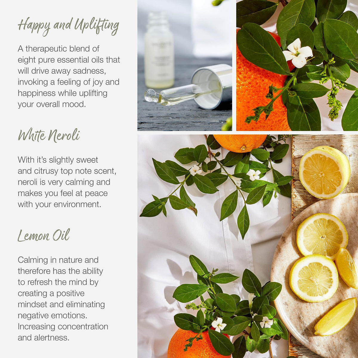 Valentte Reed Diffuser for Home- White Neroli & Lemon Scented- 100 ml